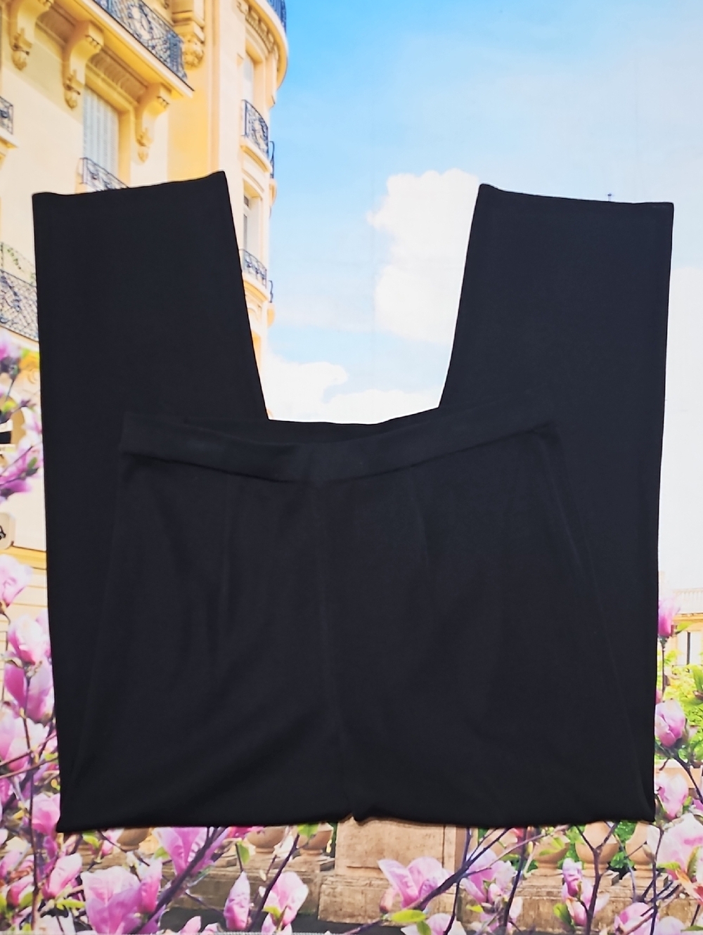 Misook Black Stretchy High Waist Pants Size Petite Large PL